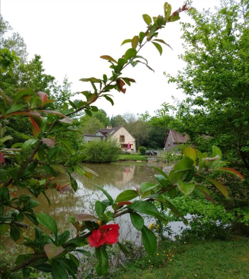 24H Le Mans - Les Haies Gite, Near Le Mans Circuit Villa Coulans-sur-Gée Екстериор снимка